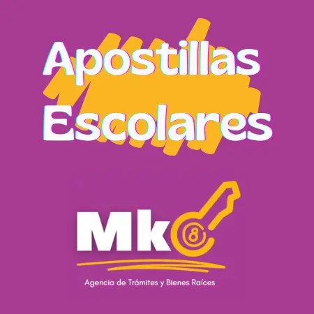 Apostillas Escolares (Autenticación de Firmas SEP y Apostilla) 